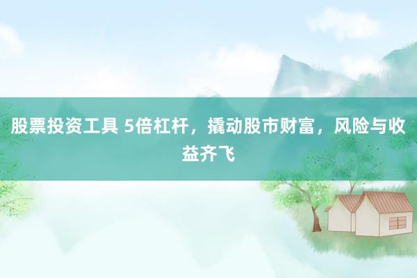 股票投资工具 5倍杠杆，撬动股市财富，风险与收益齐飞