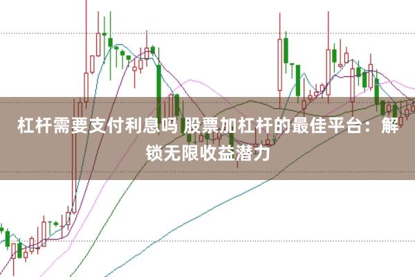 杠杆需要支付利息吗 股票加杠杆的最佳平台：解锁无限收益潜力