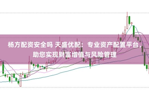 杨方配资安全吗 天盛优配：专业资产配置平台，助您实现财富增值与风险管理
