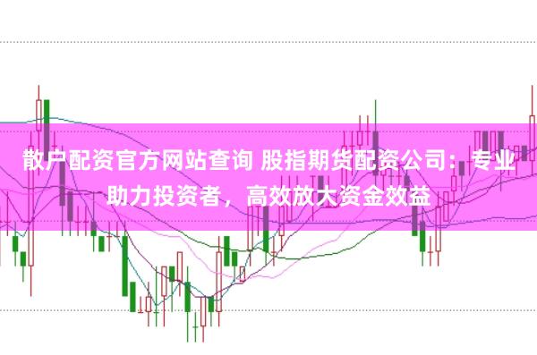 散户配资官方网站查询 股指期货配资公司：专业助力投资者，高效放大资金效益