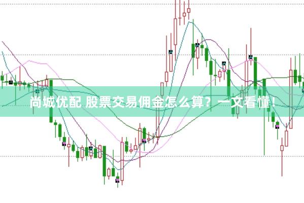 尚城优配 股票交易佣金怎么算？一文看懂！