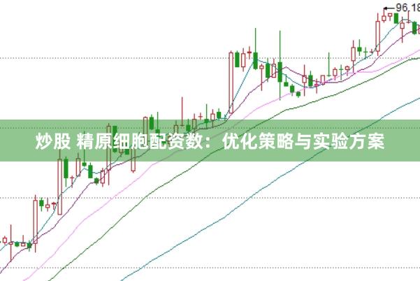 炒股 精原细胞配资数：优化策略与实验方案
