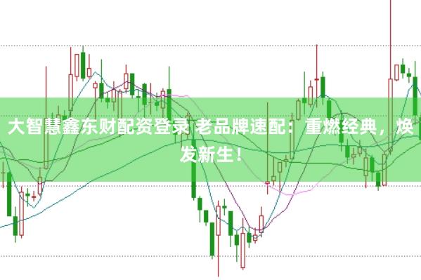 大智慧鑫东财配资登录 老品牌速配：重燃经典，焕发新生！