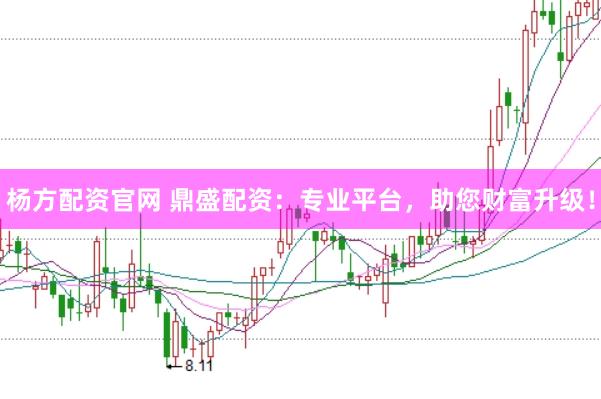 杨方配资官网 鼎盛配资：专业平台，助您财富升级！