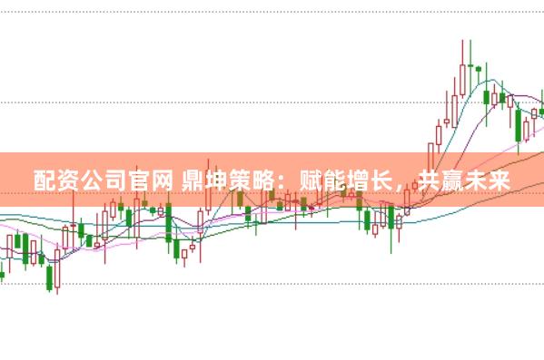 配资公司官网 鼎坤策略：赋能增长，共赢未来