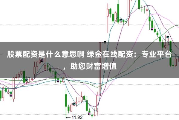 股票配资是什么意思啊 绿金在线配资：专业平台，助您财富增值