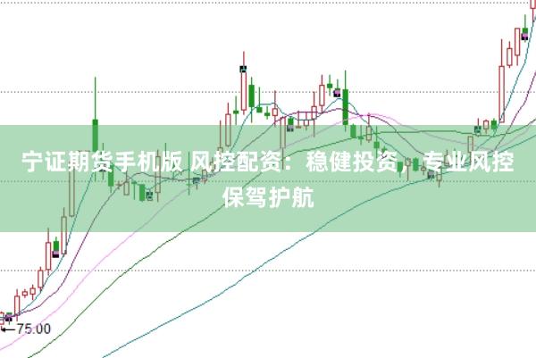 宁证期货手机版 风控配资：稳健投资，专业风控保驾护航