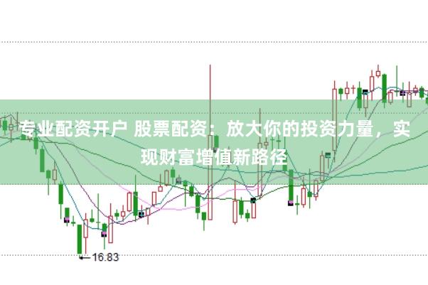 专业配资开户 股票配资：放大你的投资力量，实现财富增值新路径