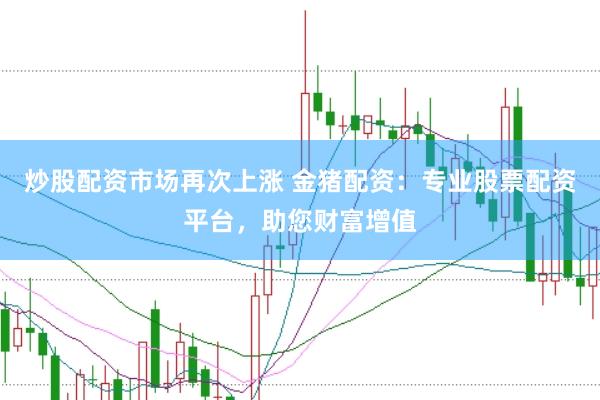 炒股配资市场再次上涨 金猪配资：专业股票配资平台，助您财富增值