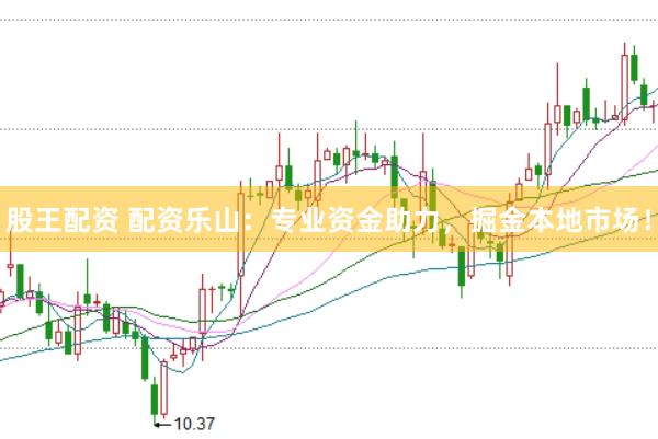 股王配资 配资乐山：专业资金助力，掘金本地市场！