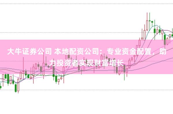 大牛证券公司 本地配资公司：专业资金配置，助力投资者实现财富增长