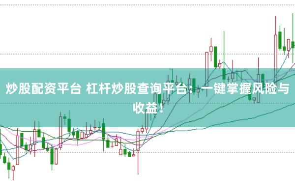 炒股配资平台 杠杆炒股查询平台：一键掌握风险与收益！
