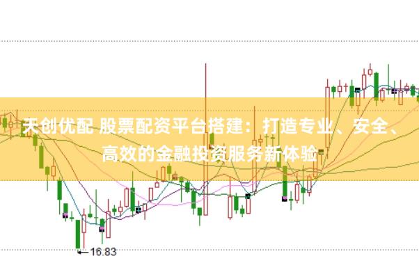 天创优配 股票配资平台搭建:打造专业、安全、高效的金融投资服务新体验