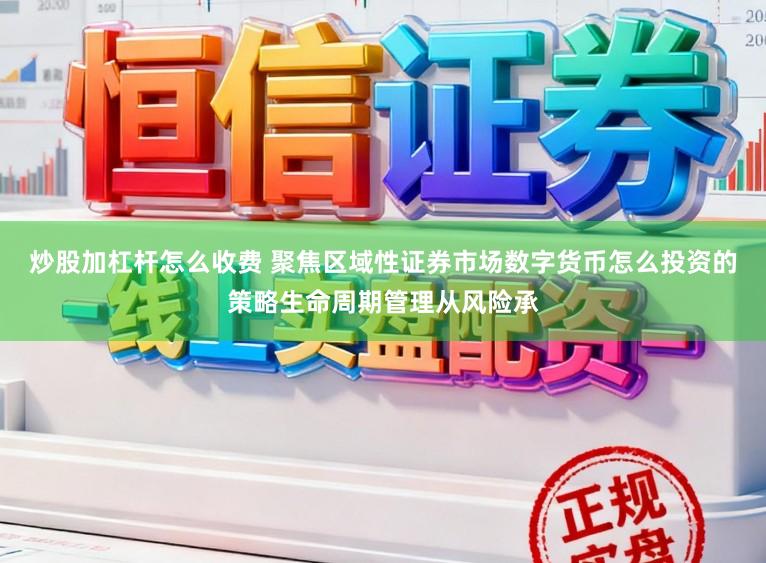 炒股加杠杆怎么收费 聚焦区域性证券市场数字货币怎么投资的策略生命周期管理从风险承